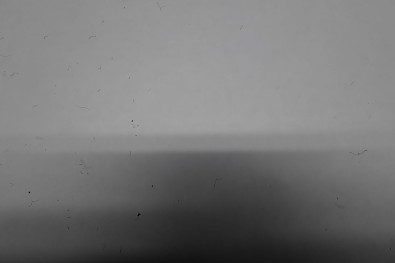 Тестовый снимок до чистки матрицы